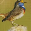 Bird Singing Diamond Painting