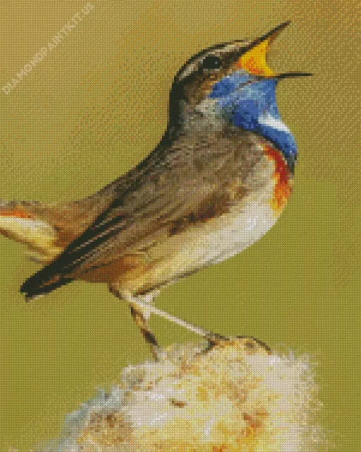 Bird Singing Diamond Painting