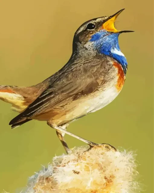 Bird Singing Diamond Painting