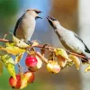 Birds Apple Tree Diamond Painting