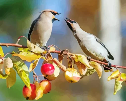 Birds Apple Tree Diamond Painting