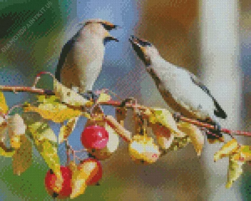 Birds Apple Tree Diamond Painting