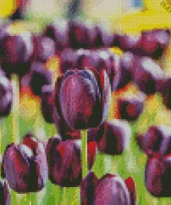 Black And Purple Flowers Diamond Painting