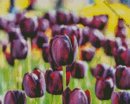 Black And Purple Flowers Diamond Painting