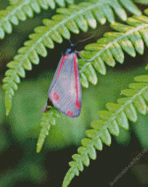 Black and Red Butterfly Diamond Painting