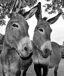 Black And White Donkey Diamond Painting