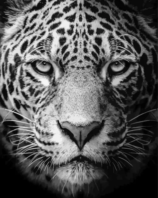 Black And White Leopard Diamond Painting