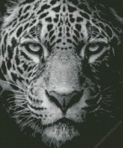 Black And White Leopard Diamond Painting