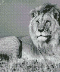 Black And White Lion Diamond Painting