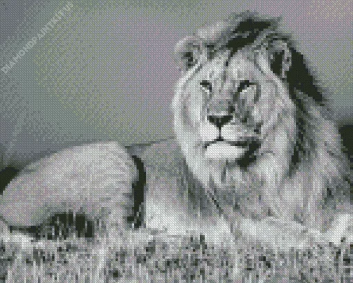 Black And White Lion Diamond Painting