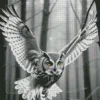 Black And White Owl Diamond Painting