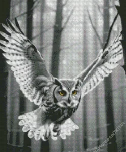 Black And White Owl Diamond Painting