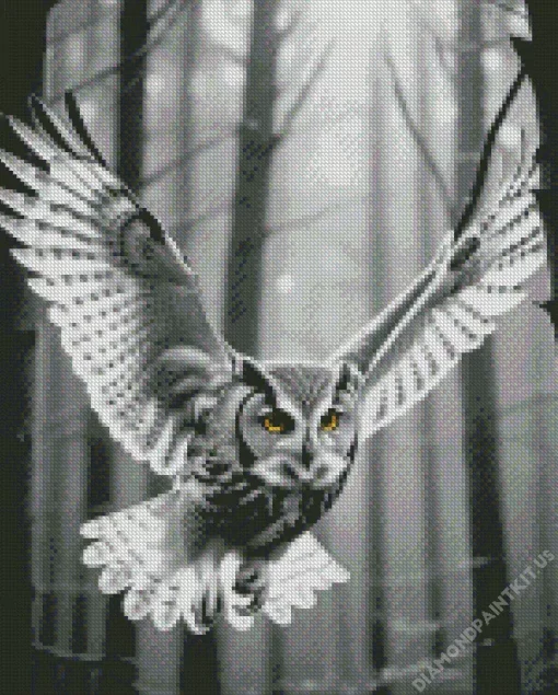 Black And White Owl Diamond Painting