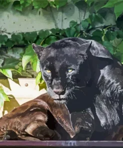 Black Jaguar Diamond Painting