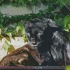 Black Jaguar Diamond Painting