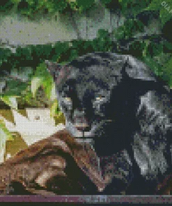 Black Jaguar Diamond Painting