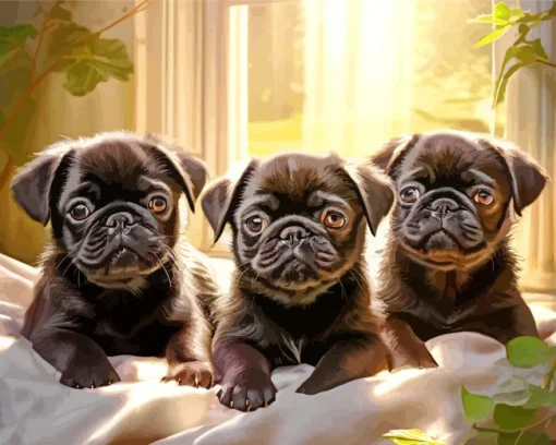 Black Pug Puppies Diamond Painting