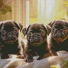 Black Pug Puppies Diamond Painting