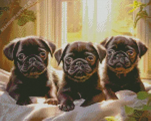 Black Pug Puppies Diamond Painting