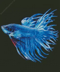 Blue Betta Fish Diamond Painting