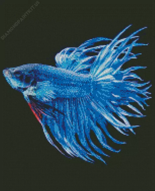 Blue Betta Fish Diamond Painting