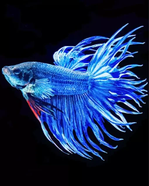 Blue Betta Fish Diamond Painting