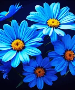 Blue Daisies Diamond Painting