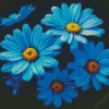 Blue Daisies Diamond Painting