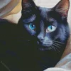 Blue Eyed Black Cat Diamond Painting