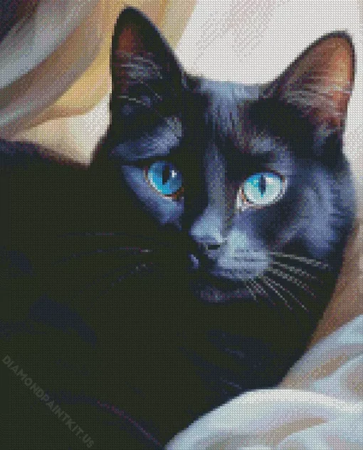 Blue Eyed Black Cat Diamond Painting