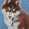 Blue Eyed Brown Husky Puppy Diamond Painting