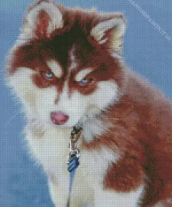 Blue Eyed Brown Husky Puppy Diamond Painting