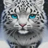 Blue Eyed Snow Leopard Diamond Painting