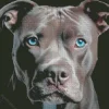 Blue Eyed Staffordshire Bull Terrier Diamond Painting