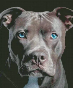 Blue Eyed Staffordshire Bull Terrier Diamond Painting