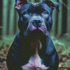 Blue Eyed Staffy Diamond Painting