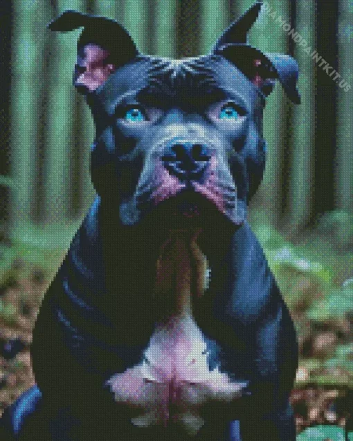 Blue Eyed Staffy Diamond Painting