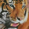 Blue Eyed Tiger Diamond Painting