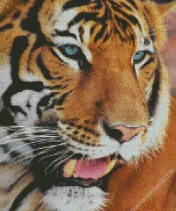 Blue Eyed Tiger Diamond Painting