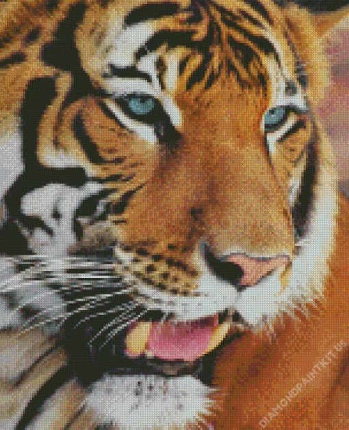 Blue Eyed Tiger Diamond Painting