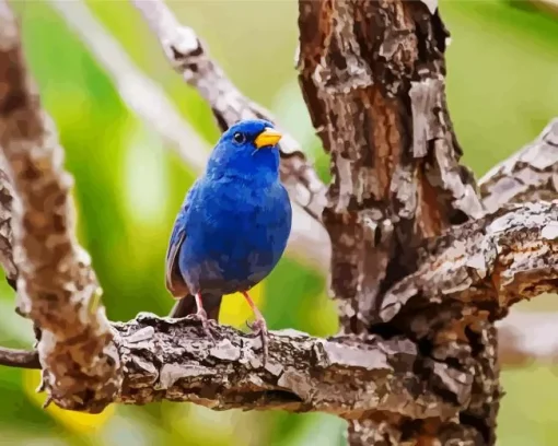 Blue Finch Bird Diamond Painting