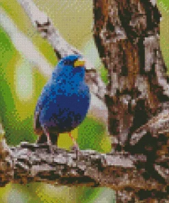 Blue Finch Bird Diamond Painting