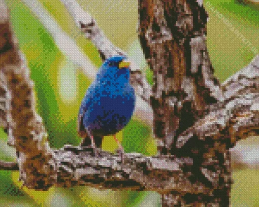 Blue Finch Bird Diamond Painting