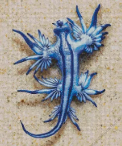 Blue Glaucus Nudibranch Diamond Painting