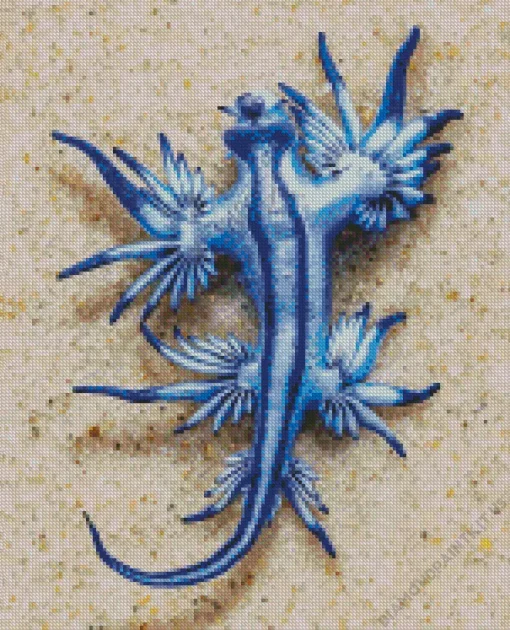 Blue Glaucus Nudibranch Diamond Painting