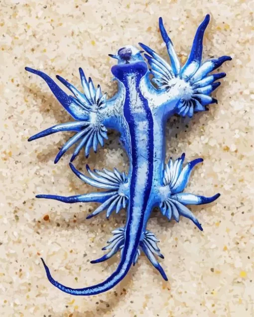 Blue Glaucus Nudibranch Diamond Painting