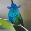 Blue Green Hummingbird Diamond Painting