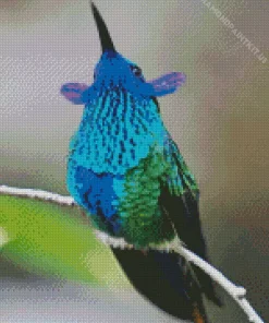 Blue Green Hummingbird Diamond Painting