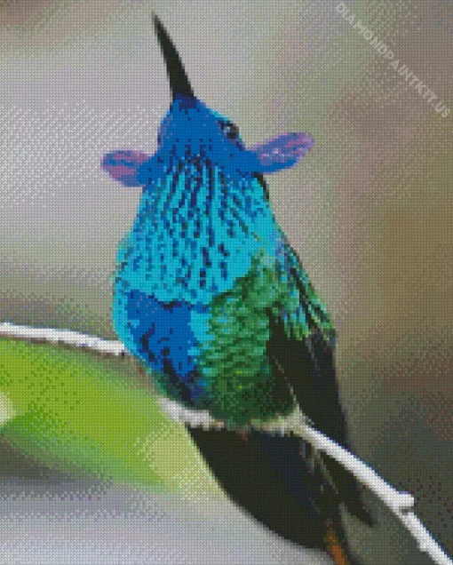 Blue Green Hummingbird Diamond Painting