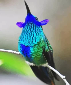 Blue Green Hummingbird Diamond Painting